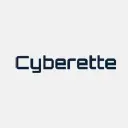 Cyberette logo - Fraud Detection company