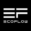EcoFlow logo - AI company in China