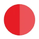 Papaya Global logo - Enterprise AI company