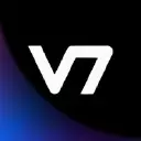 V7 logo - Computer Vision AI company
