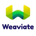 Weaviate logo - ML Infrastructure AI company