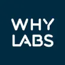 WhyLabs logo - MLOps AI company